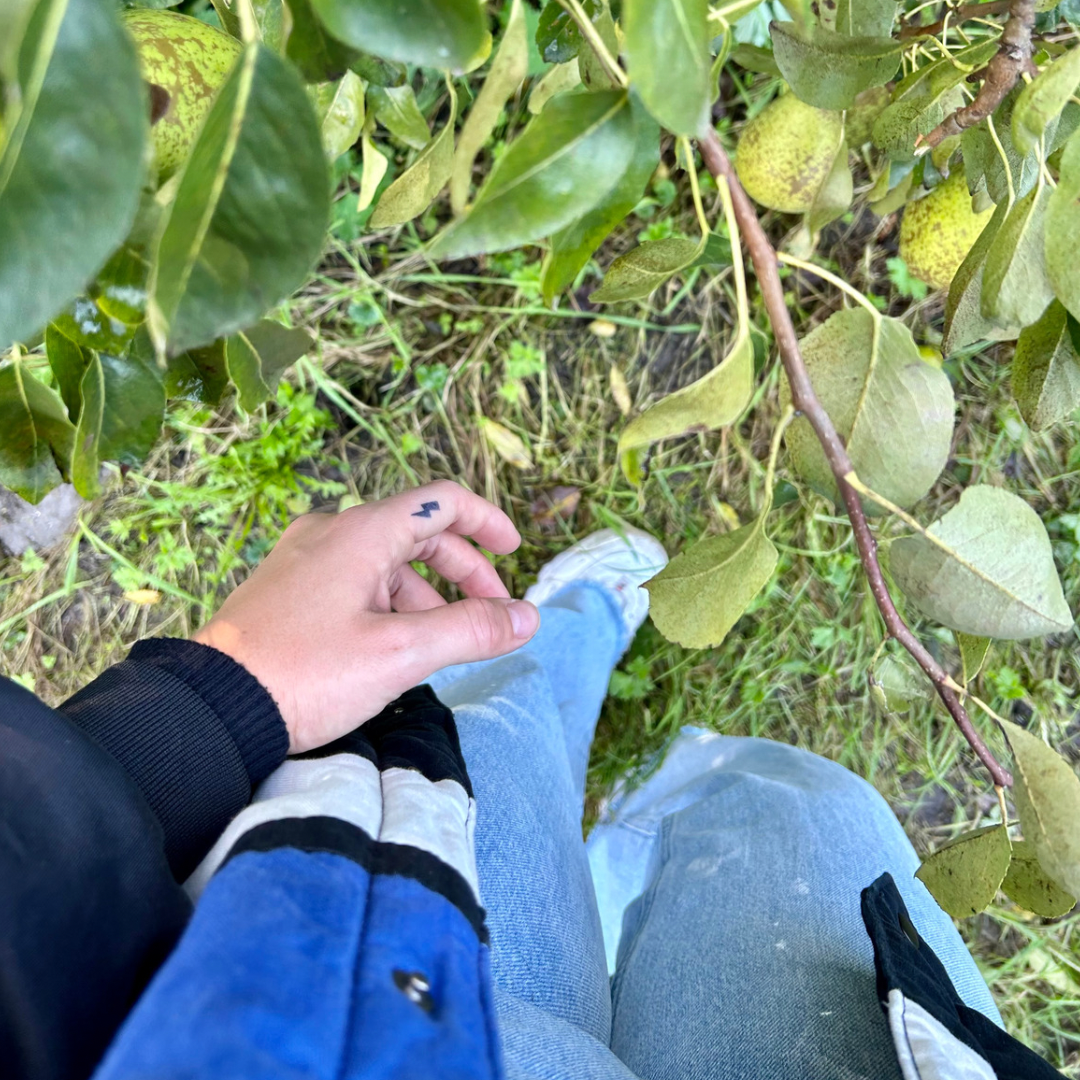 Rayo de tatuaje temporal